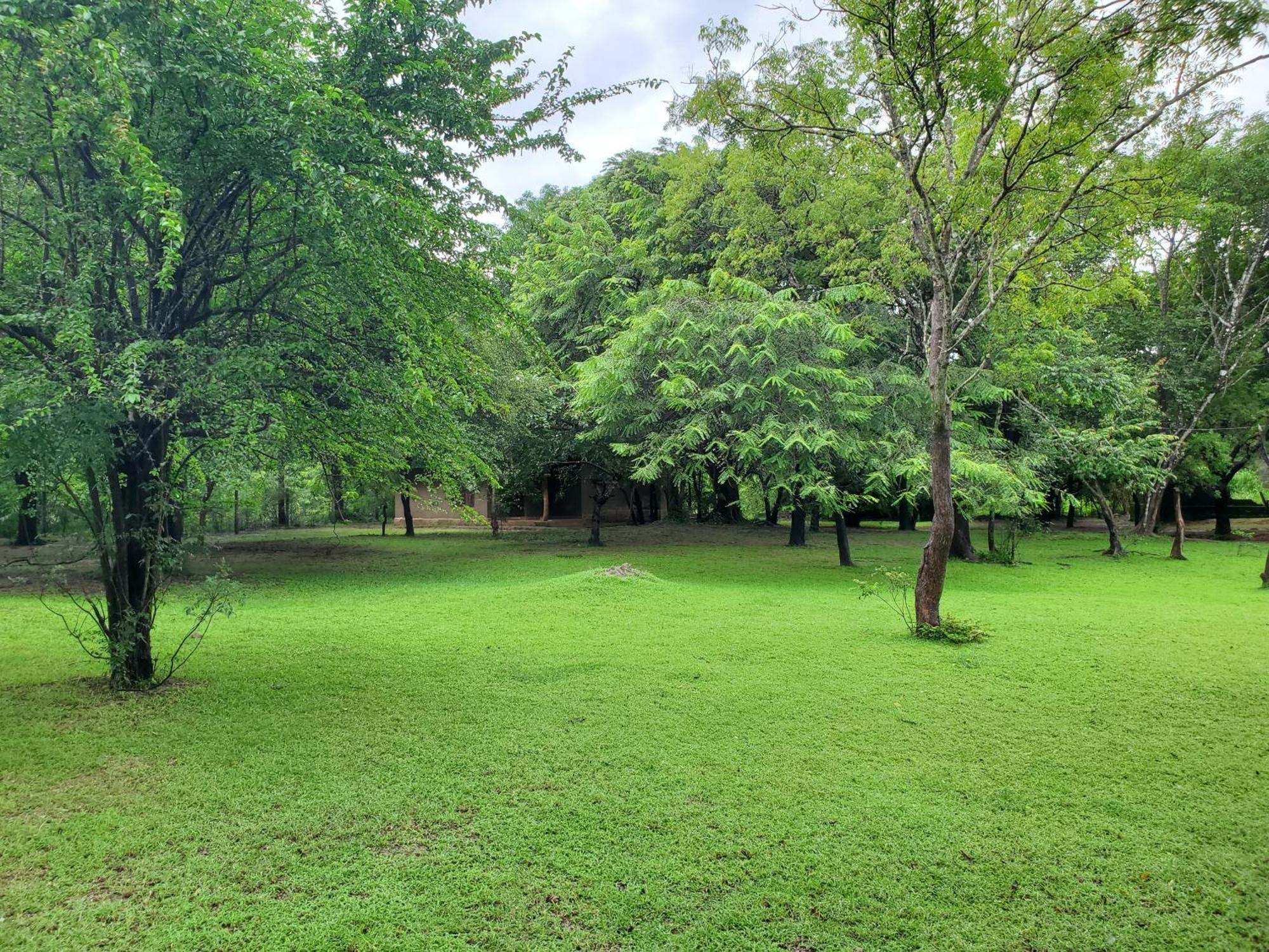 Clay Hut Village Polonnaruwa Exterior photo