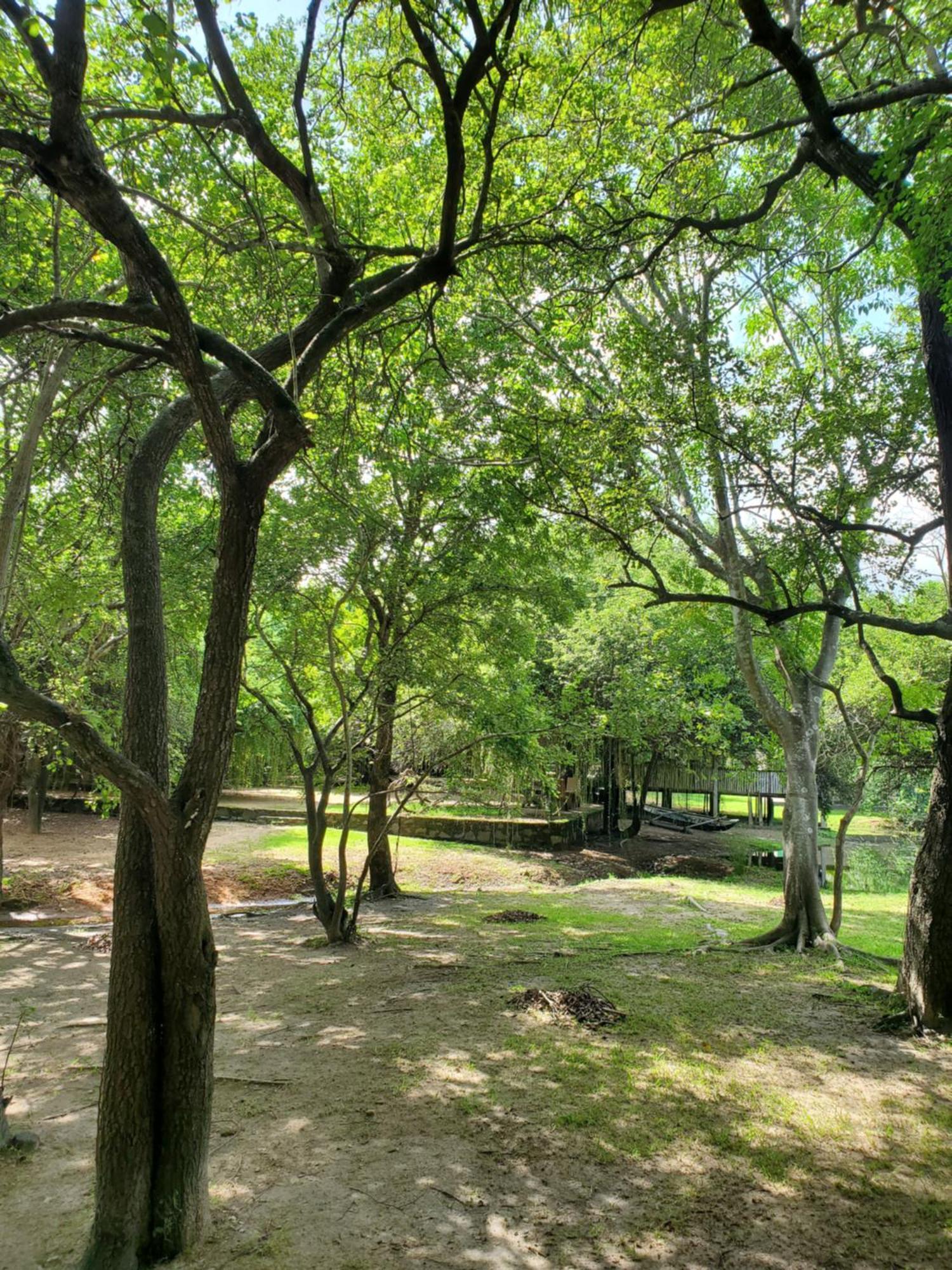 Clay Hut Village Polonnaruwa Exterior photo