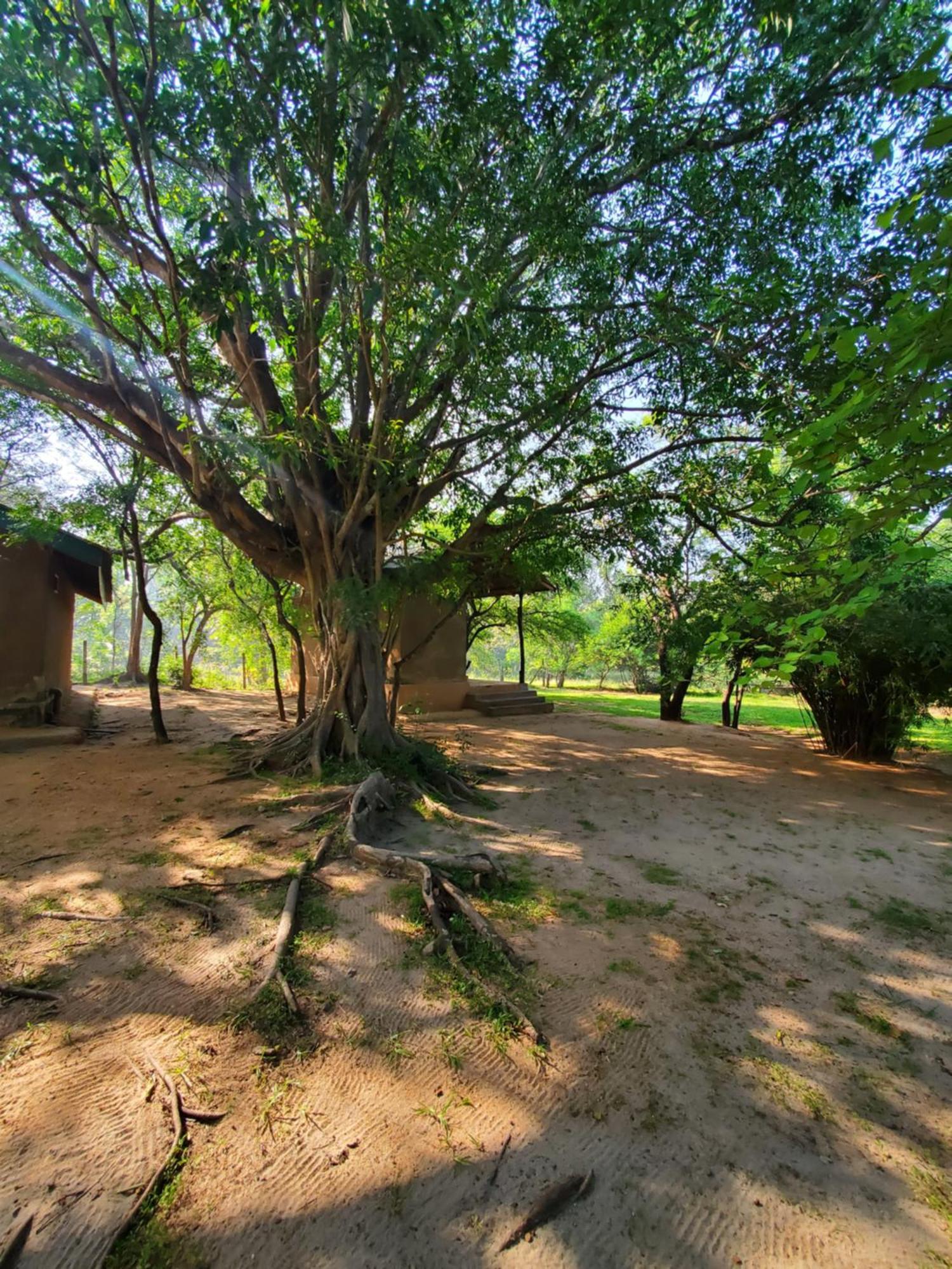 Clay Hut Village Polonnaruwa Exterior photo