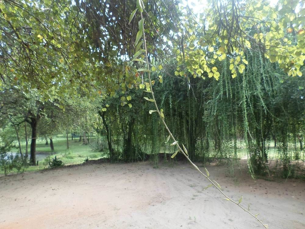 Clay Hut Village Polonnaruwa Exterior photo